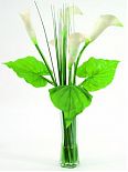 Calla nel vaso di vetro 3 foglie 5 fiori 64cm